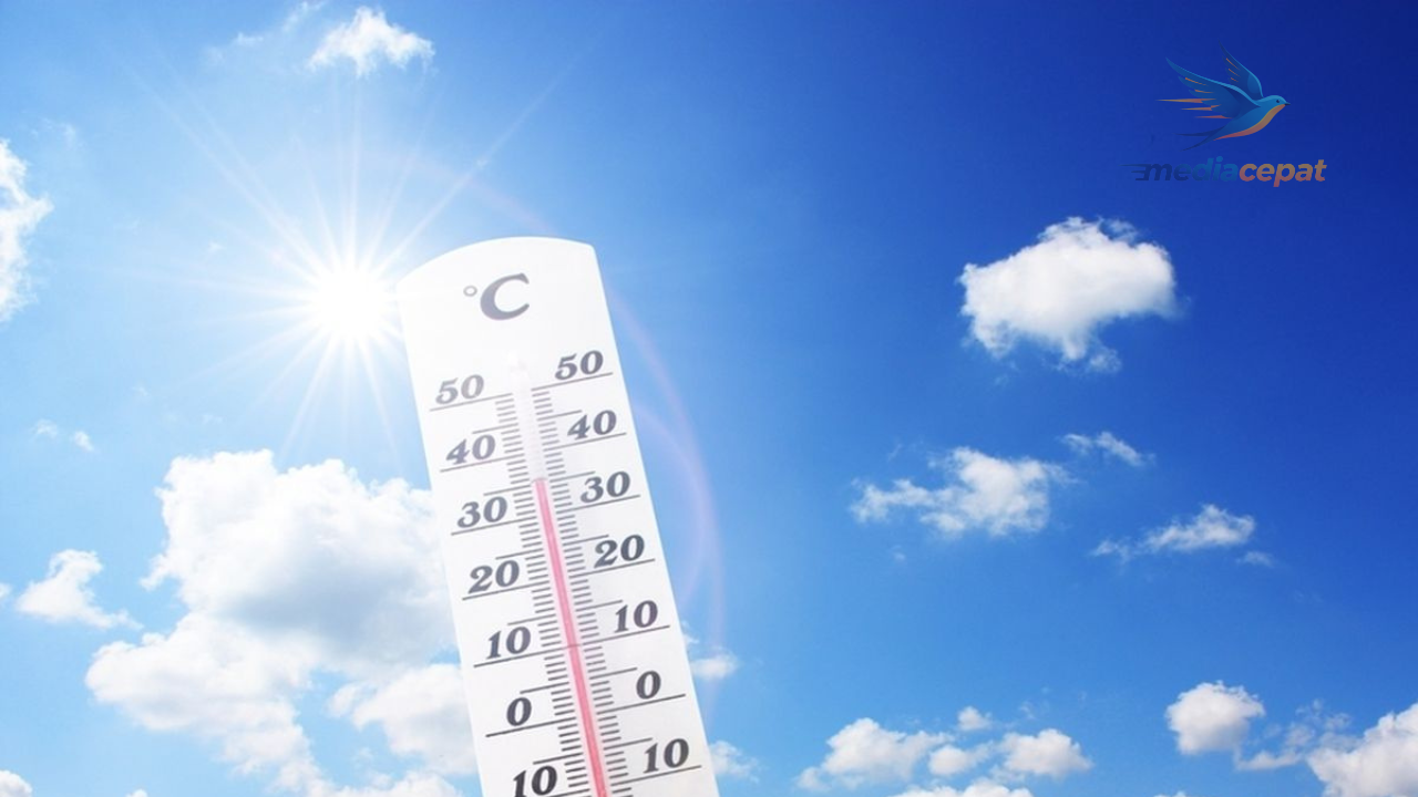 Indonesia Mendidih: Badan Meteorologi, Klimatologi, dan Geofisika (BMKG) Imbau Hindari Keluar Rumah Pukul 10.00–16.00